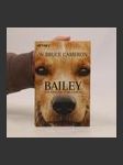 Bailey - náhled