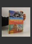 Katzenkinder entdecken die Welt - náhled