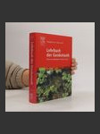 Lehrbuch der Geobotanik - náhled