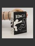 Brnox : průvodce brněnským Bronxem : akce Kateřiny Šedé ( + záložka, mapa) - náhled