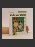 Collie und Sheltie - náhled