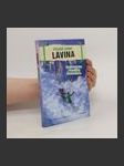 Lavina - náhled