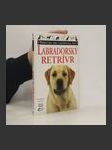 Labradorský retrívr - náhled