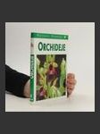 Orchideje : planě rostoucí druhy a poddruhy Evropy, Přední Asie a severní Afriky - náhled