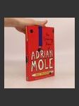 The Growing Pains of Adrian Mole - náhled