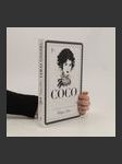 Coco Chanel : ilustrovaný svět módní ikony - náhled