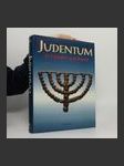 Judentum in Literatur und Kunst - náhled