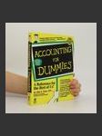 Accounting for Dummies - náhled