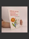 Pěstujeme léčivé rostliny (duplicitní ISBN) - náhled