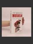 Muskeln - náhled