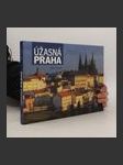 Úžasná Praha - náhled