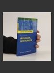 Königs Erläuterungen Textanalyse und Interpretation zu Theodor Fontane, Irrungen, Wirrungen - náhled