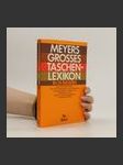 Meyers Grosses Taschenlexikon : in 24 Bänden. Bd. 19. - náhled