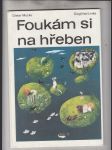 Foukám si na hřeben - náhled