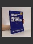 Understanding and Using English Grammar - náhled