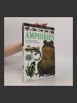 Amphibien - náhled
