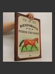 Das Riesenbuch der Pferde und Ponys - náhled