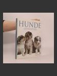 Hunde - náhled