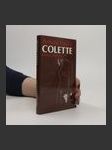 Colette : dívka z Antverp - náhled