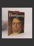 Beethoven. Eine Bildbiographie in Farbe - náhled