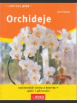 Orchideje - náhled