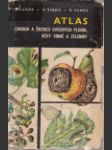 Atlas chorob a škůdců ovocných plodin, vinné révy a zeleniny - náhled