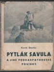 Pytlák Savula - a jiné podkarpatoruské povídky - náhled