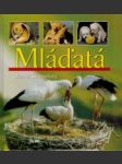 Mláďatá - náhled