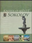 Kniha o městě Sokolov - náhled