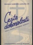 Cesta dokonalosti - náhled