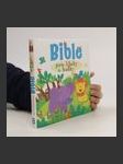 Bible pro kluky a holky - náhled
