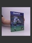 Francie 98. XVI. mistrovství světa v kopané - náhled