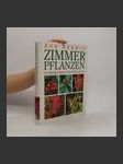 Zimmer Pflanzen - náhled