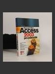 Microsoft Office Access 2003 pro pokročilé - náhled