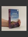 Rosalie und der Duft der Provence - náhled