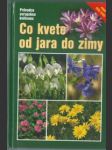 Co kvete od jara do zimy - náhled