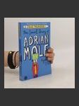 The secret diary of Adrian Mole aged 13 3/4 - náhled