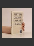 Meyers grosses Taschenlexikon 19 - náhled