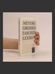 Meyers grosses Taschenlexikon 21 - náhled