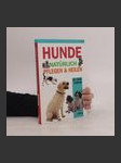 Hunde - náhled