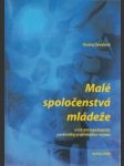 Malé spoločenstvá mládeže a ich antropologický, pastorálny a spirituálny rozmer - náhled