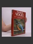 Fotoatlas der Vögel - náhled