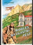 Biggles na vlastní pěst - náhled