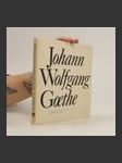 Johann Wolfgang Goethe - náhled