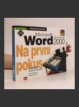 Microsoft Word 2000 - Na první pokus - náhled