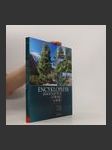 Encyklopedie jehličnatých stromů a keřů - náhled