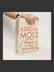 Adrian Mole and the weapons of mass destruction - náhled