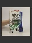 Windows 2000 Professional - náhled