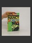 Nancy Drew 2. A Race Against Time - náhled