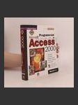 Programování v Microsoft Access 2000 - náhled